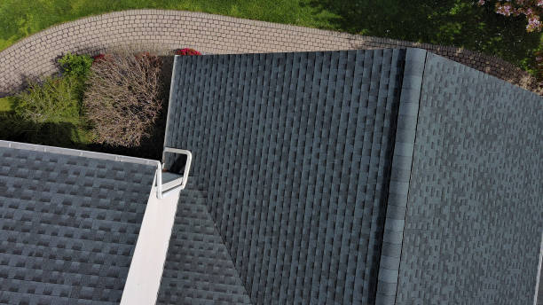 Professional Roofing Services in Rosenberg, TX